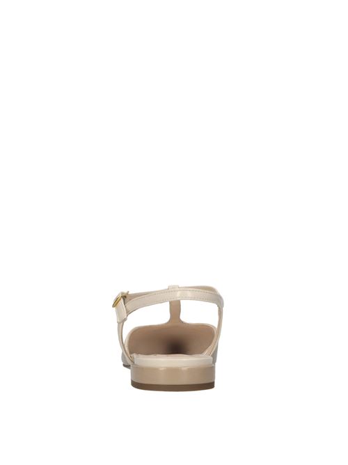  MATTEO PITTI | 1425 PITTINATURE-BURRO